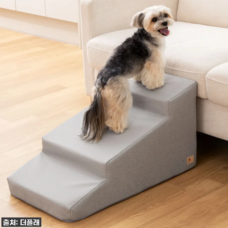 찐후기! 우리 댕댕이 슬개골 지킴이 관련 이미지 3