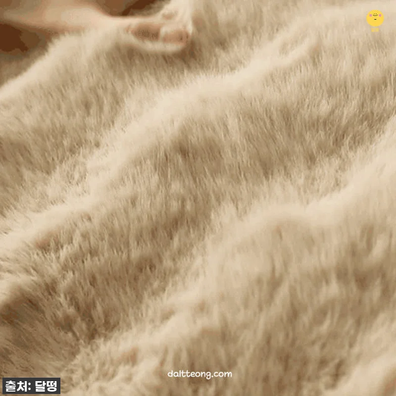 이슈템! 올겨울 따뜻함과 포근함을 한 관련 이미지 4