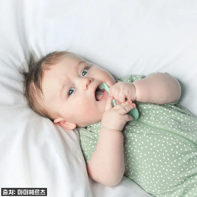 돌아기 첫 칫솔, 조르단 그린클린 6 관련 이미지 4