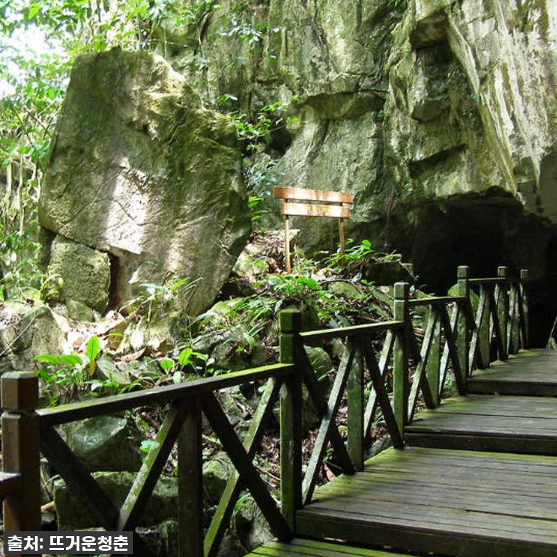 🔥역대급 찐후기! 말레이시아 사라왁 관련 이미지 4