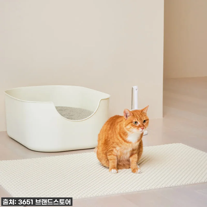 찐후기! 35% 할인 놓치면 후회할 관련 이미지 5