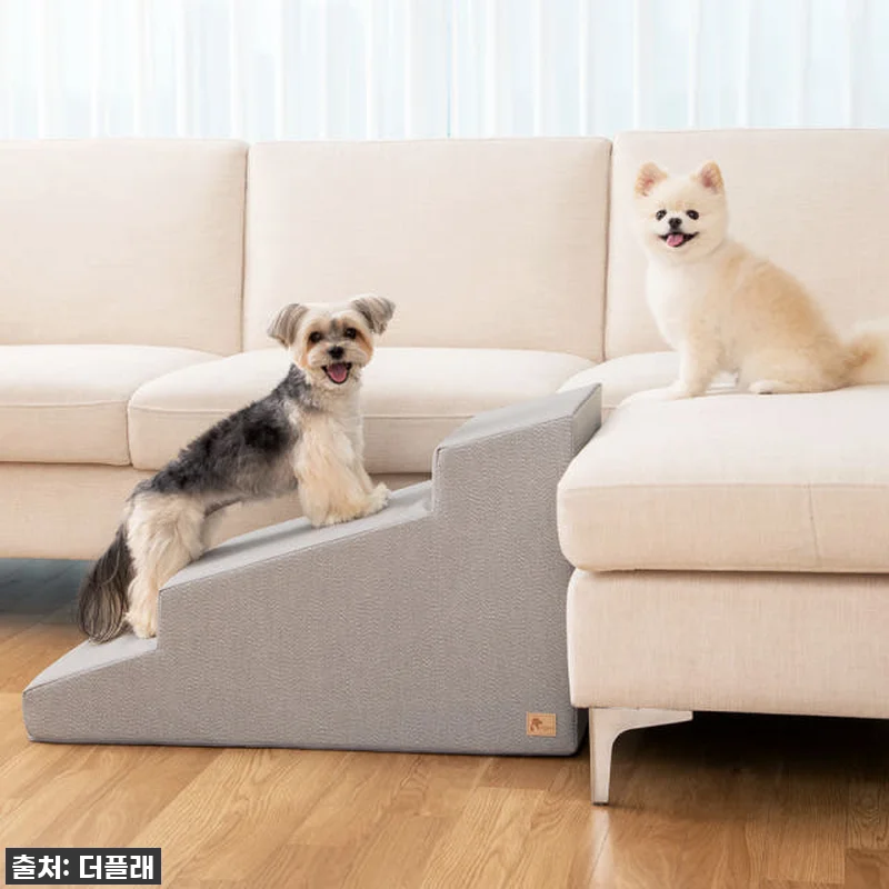 찐후기! 우리 댕댕이 슬개골 지킴이 관련 이미지 4