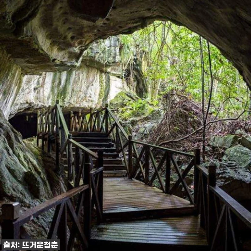 🔥역대급 찐후기! 말레이시아 사라왁 관련 이미지 5