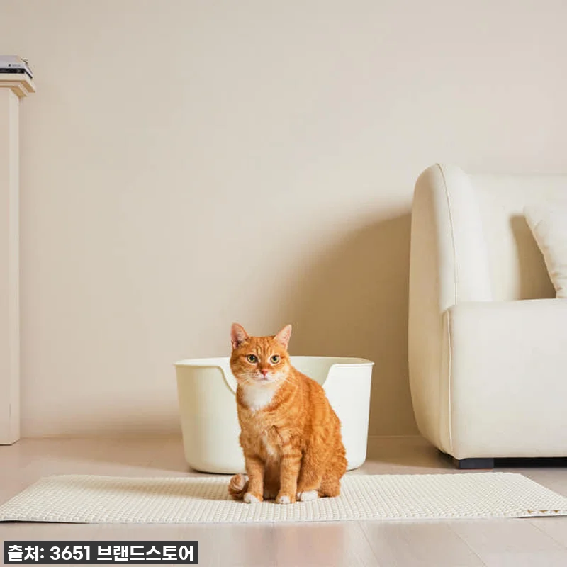 찐후기! 35% 할인 놓치면 후회할 관련 이미지 6