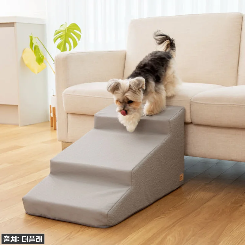 찐후기! 우리 댕댕이 슬개골 지킴이 관련 이미지 5