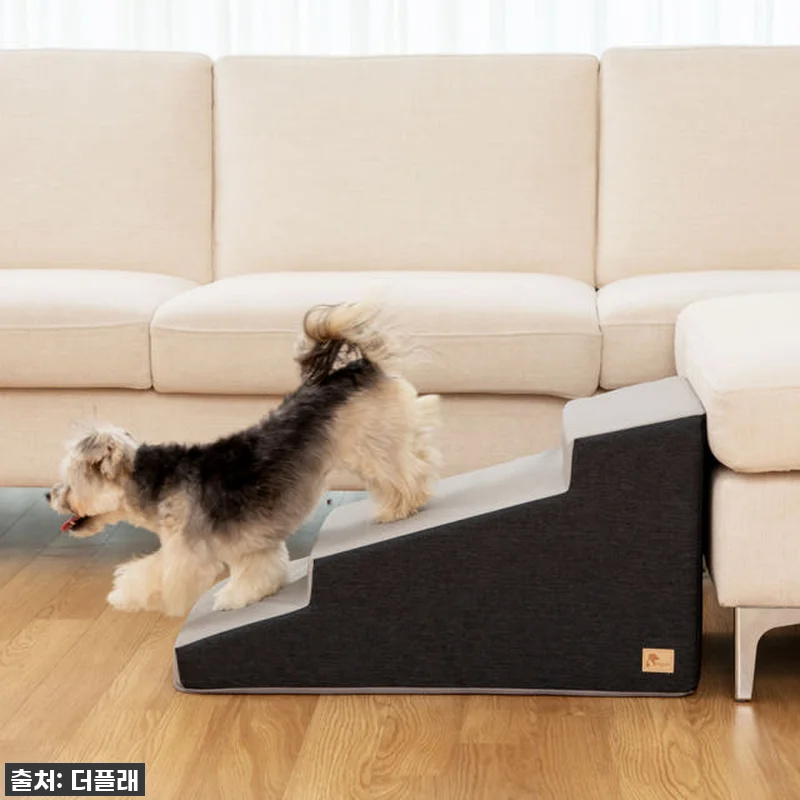 찐후기! 우리 댕댕이 슬개골 지킴이 관련 이미지 6