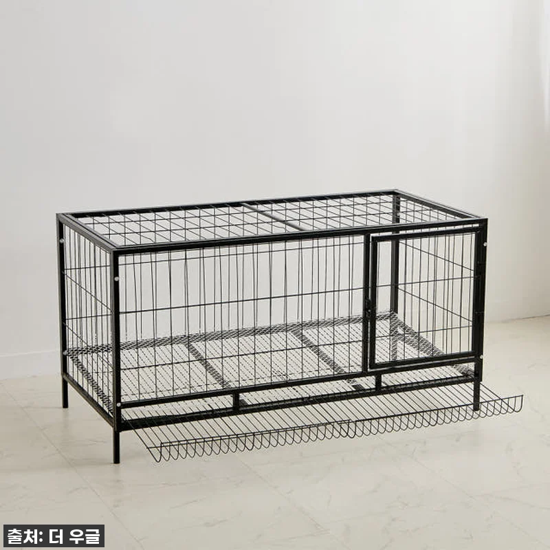 🐓우리집 닭들이 날아갈 준비 완료! 관련 이미지 7