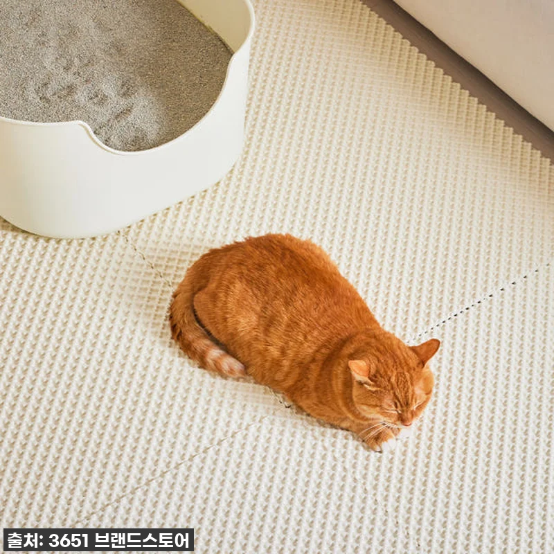 찐후기! 35% 할인 놓치면 후회할 관련 이미지 8