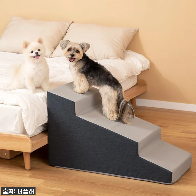 찐후기! 우리 댕댕이 슬개골 지킴이 관련 이미지 7