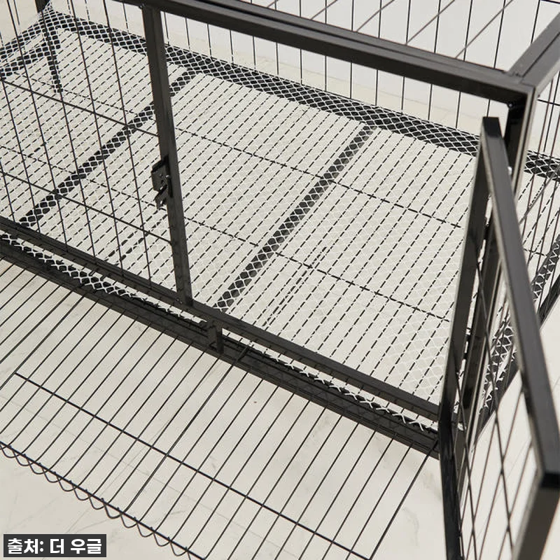 🐓우리집 닭들이 날아갈 준비 완료! 관련 이미지 8