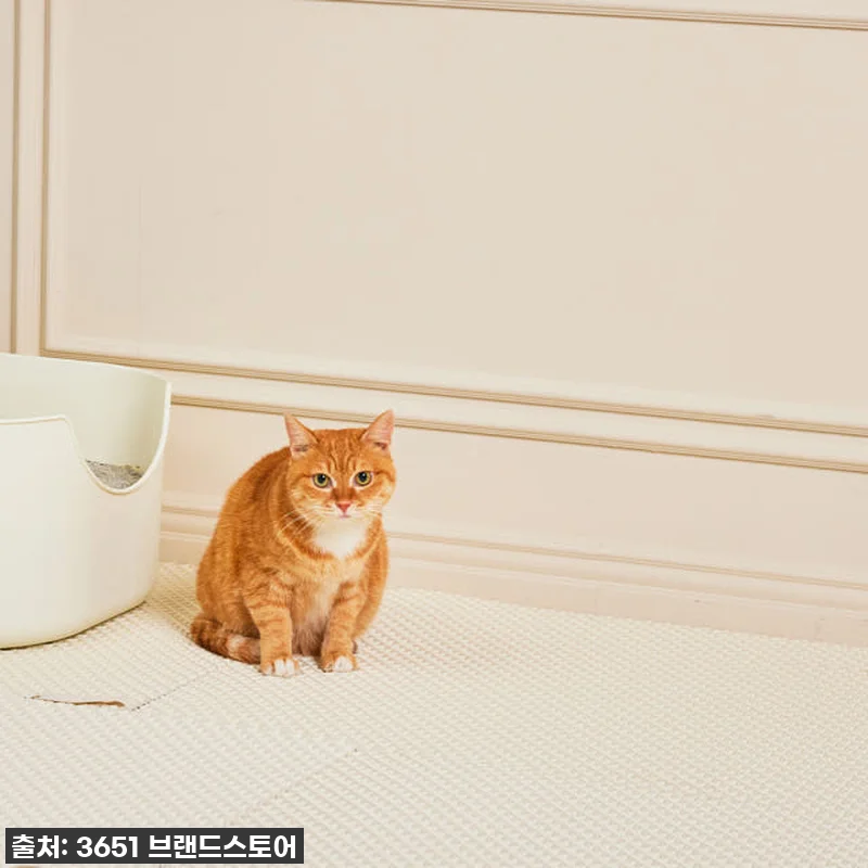 찐후기! 35% 할인 놓치면 후회할 관련 이미지 9