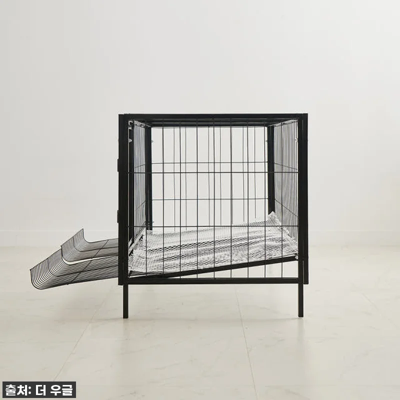 🐓우리집 닭들이 날아갈 준비 완료! 관련 이미지 9