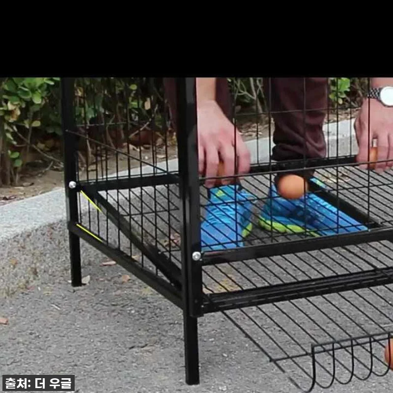 🐓우리집 닭들이 날아갈 준비 완료! 관련 이미지 10