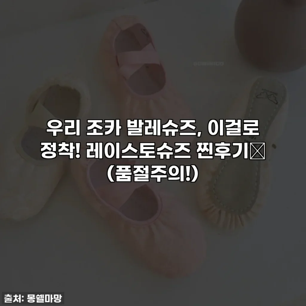 우리 조카 발레슈즈, 이걸로 정착! 레이스토슈즈 찐후기🩰 (품절주의!)