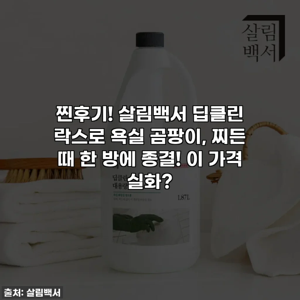 찐후기! 살림백서 딥클린 락스로 욕실 곰팡이, 찌든 때 한 방에 종결! 이 가격 실화?