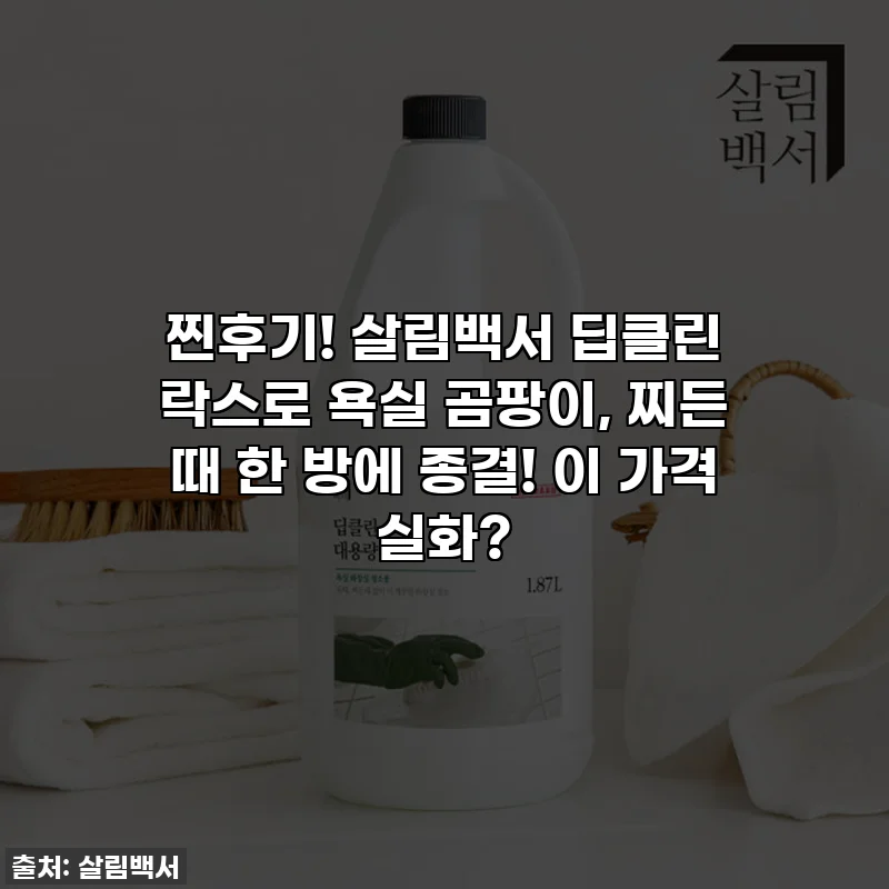 찐후기! 살림백서 딥클린 락스로 욕실 곰팡이, 찌든 때 한 방에 종결! 이 가격 실화?