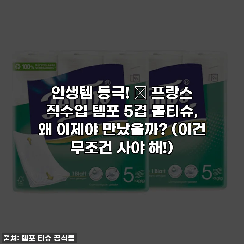 인생템 등극! 🤫 프랑스 직수입 템포 5겹 롤티슈, 왜 이제야 만났을까? (이건 무조건 사야 해!)