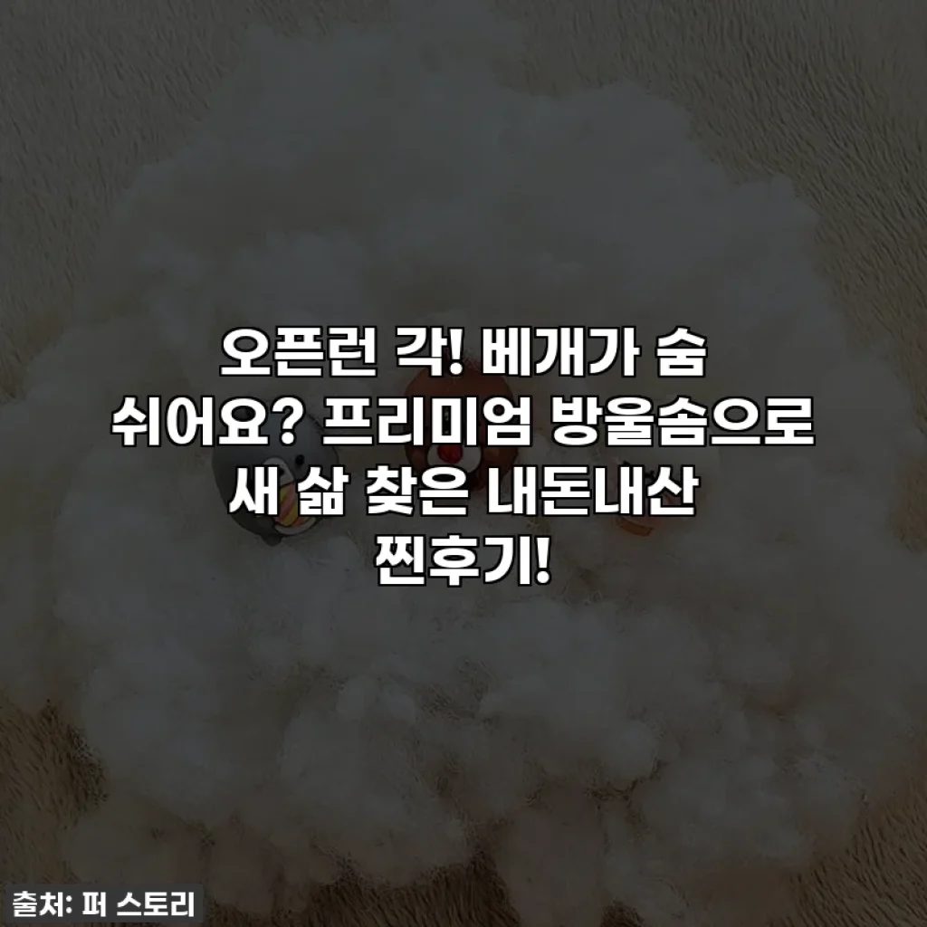 오픈런 각! 베개가 숨 쉬어요? 프리미엄 방울솜으로 새 삶 찾은 내돈내산 찐후기!