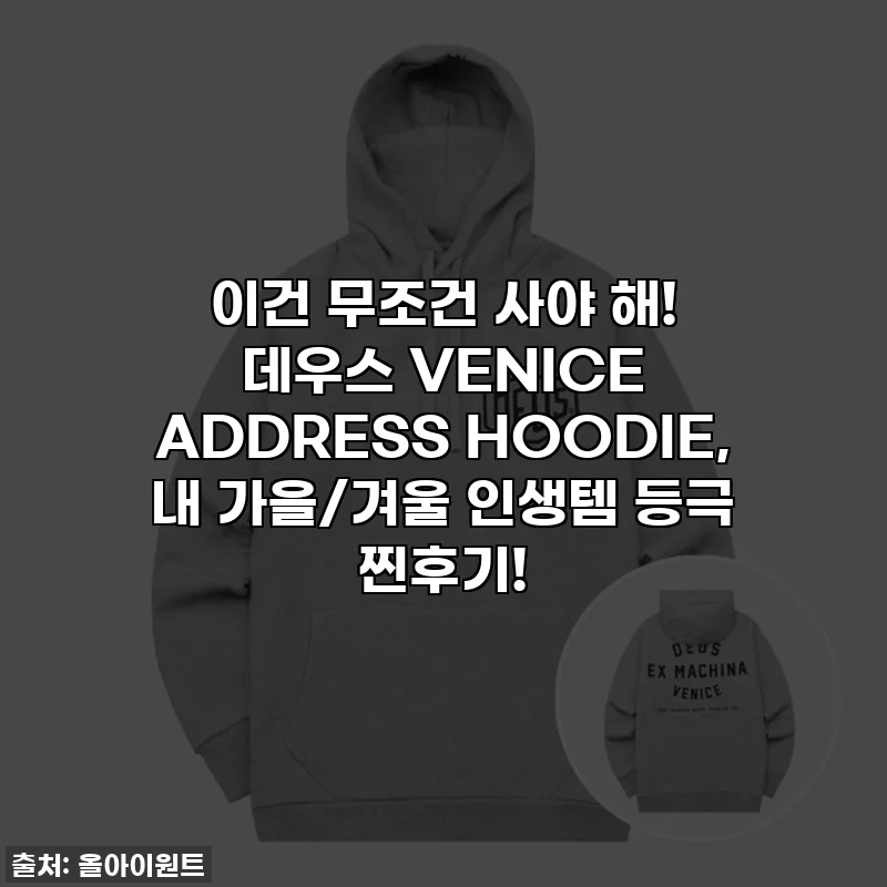 이건 무조건 사야 해! 데우스 VENICE ADDRESS HOODIE, 내 가을/겨울 인생템 등극 찐후기!