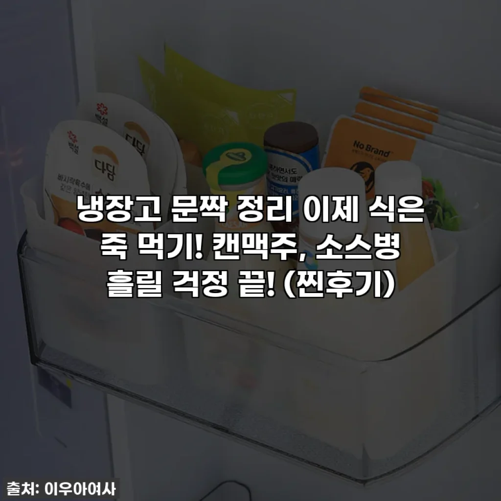 냉장고 문짝 정리 이제 식은 죽 먹기! 캔맥주, 소스병 흘릴 걱정 끝! (찐후기)