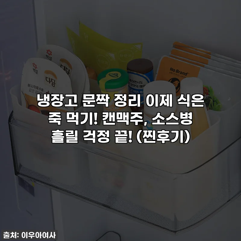 냉장고 문짝 정리 이제 식은 죽 먹기! 캔맥주, 소스병 흘릴 걱정 끝! (찐후기)