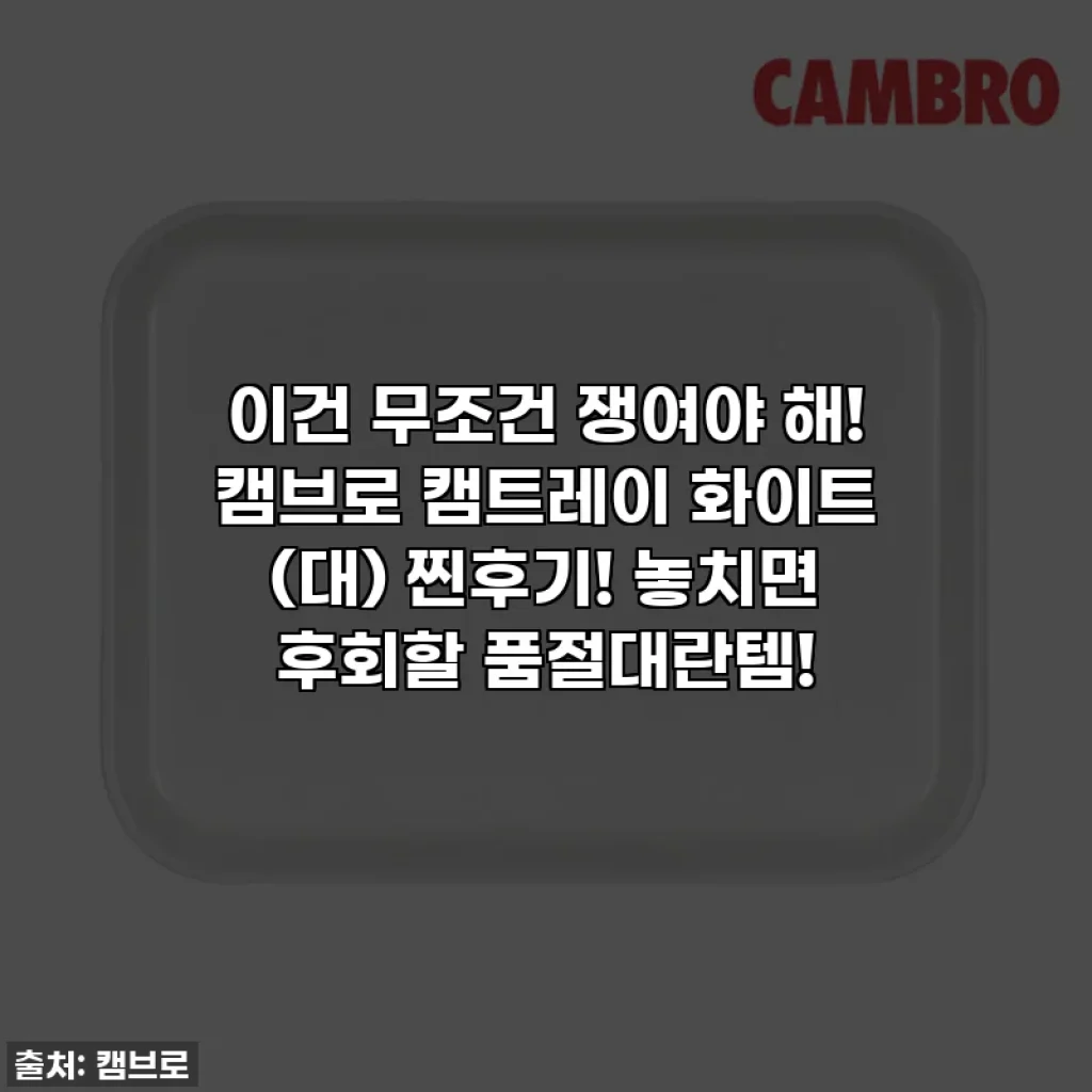이건 무조건 쟁여야 해! 캠브로 캠트레이 화이트 (대) 찐후기! 놓치면 후회할 품절대란템!