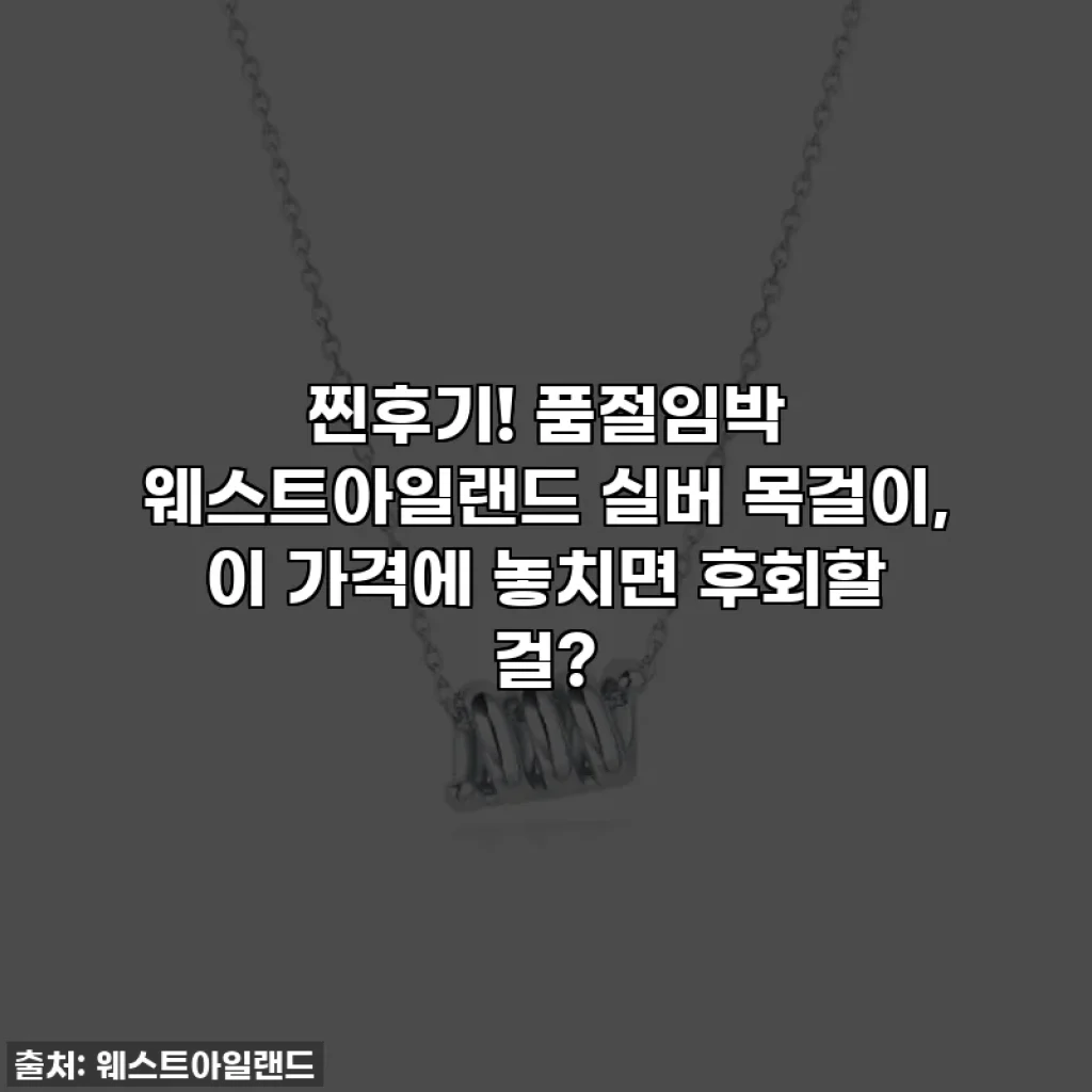 찐후기! 품절임박 웨스트아일랜드 실버 목걸이, 이 가격에 놓치면 후회할 걸?