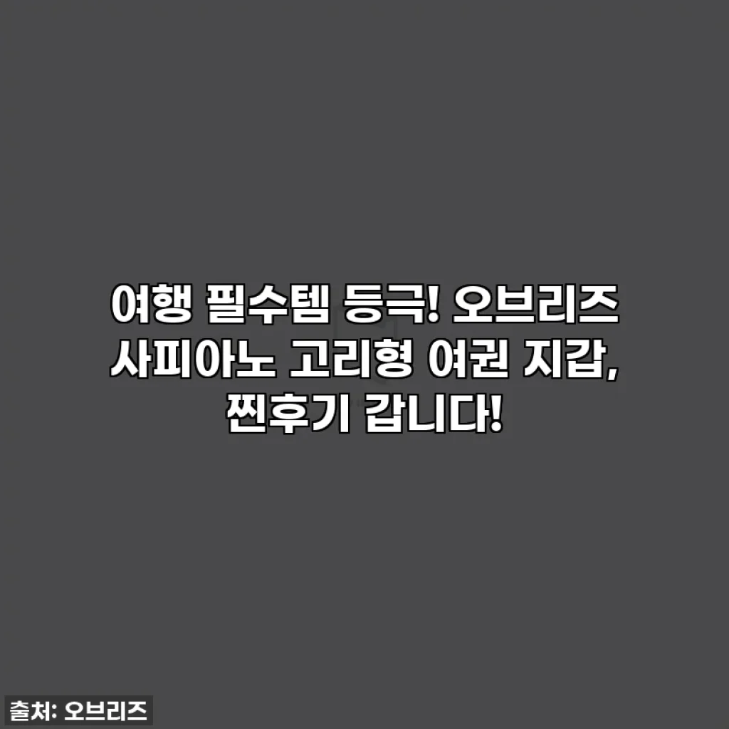 여행 필수템 등극! 오브리즈 사피아노 고리형 여권 지갑, 찐후기 갑니다!