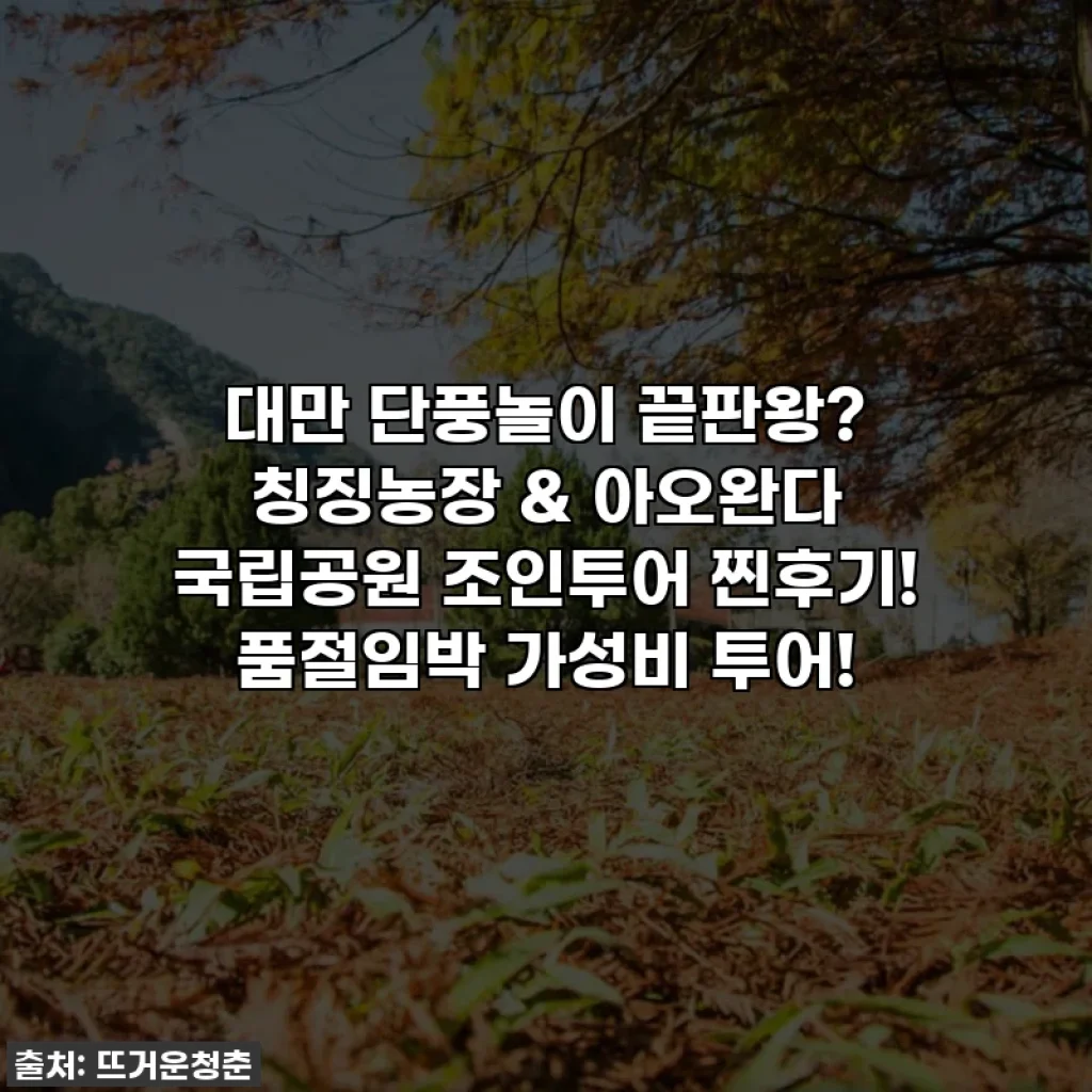 대만 단풍놀이 끝판왕? 칭징농장 & 아오완다 국립공원 조인투어 찐후기! 품절임박 가성비 투어!