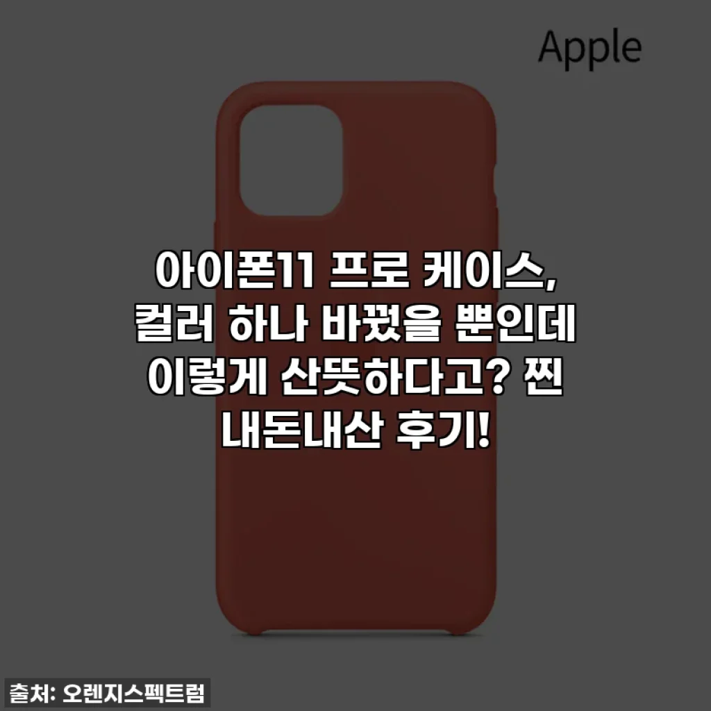 아이폰11 프로 케이스, 컬러 하나 바꿨을 뿐인데 이렇게 산뜻하다고? 찐 내돈내산 후기!
