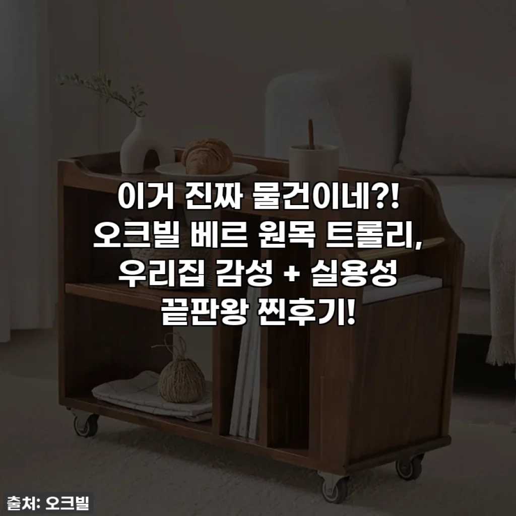 이거 진짜 물건이네?! 오크빌 베르 원목 트롤리, 우리집 감성 + 실용성 끝판왕 찐후기!