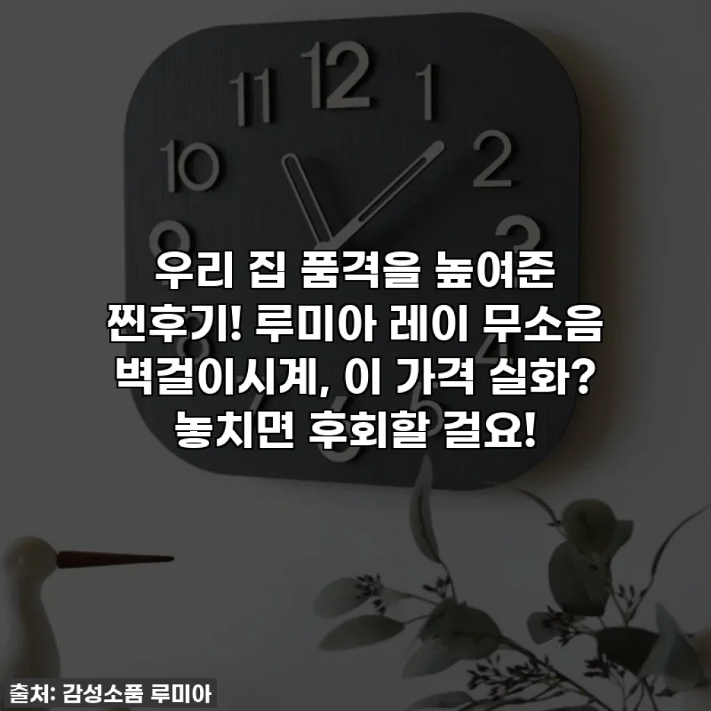 우리 집 품격을 높여준 찐후기! 루미아 레이 무소음 벽걸이시계, 이 가격 실화? 놓치면 후회할 걸요!