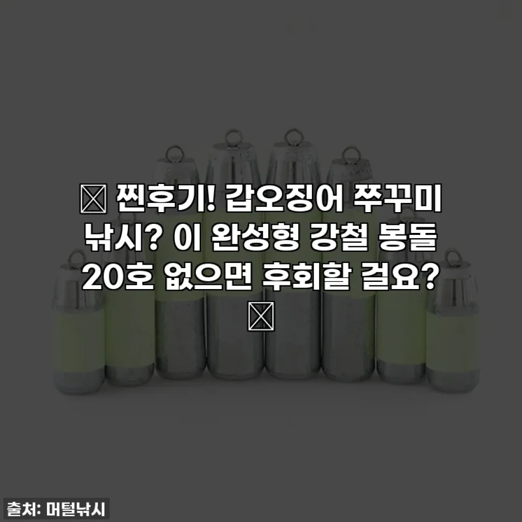 ✨ 찐후기! 갑오징어 쭈꾸미 낚시? 이 완성형 강철 봉돌 20호 없으면 후회할 걸요? ✨