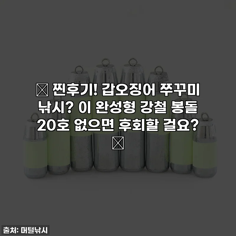 ✨ 찐후기! 갑오징어 쭈꾸미 낚시? 이 완성형 강철 봉돌 20호 없으면 후회할 걸요? ✨