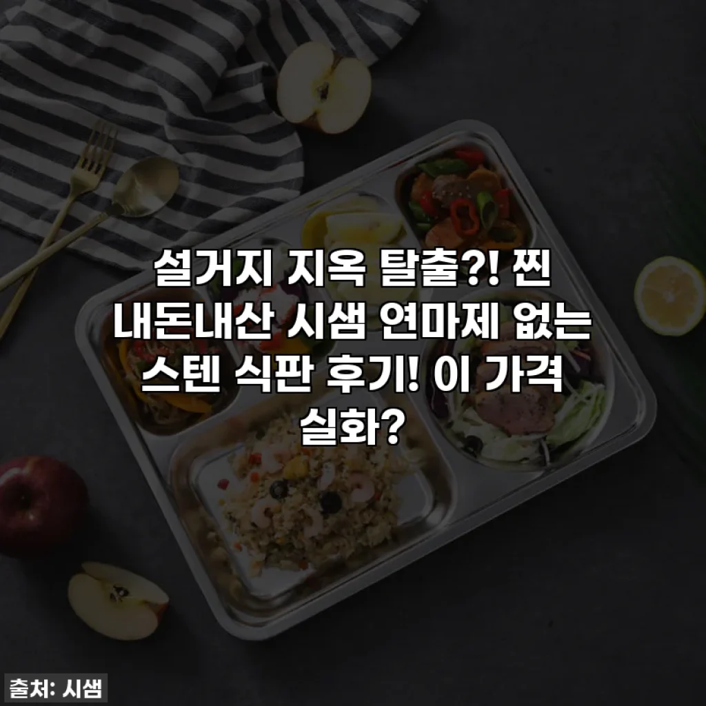 설거지 지옥 탈출?! 찐 내돈내산 시샘 연마제 없는 스텐 식판 후기! 이 가격 실화?