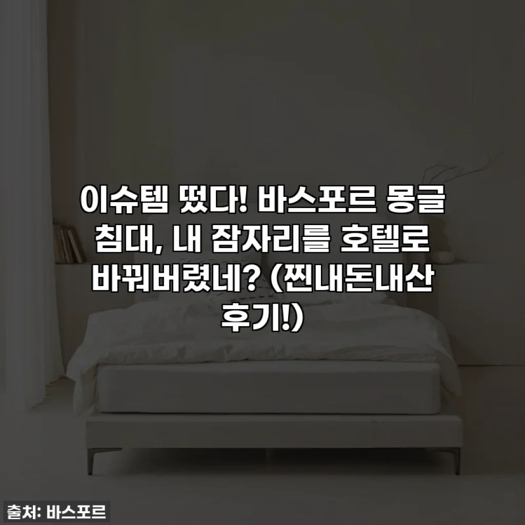 이슈템 떴다! 바스포르 몽글 침대, 내 잠자리를 호텔로 바꿔버렸네? (찐내돈내산 후기!)