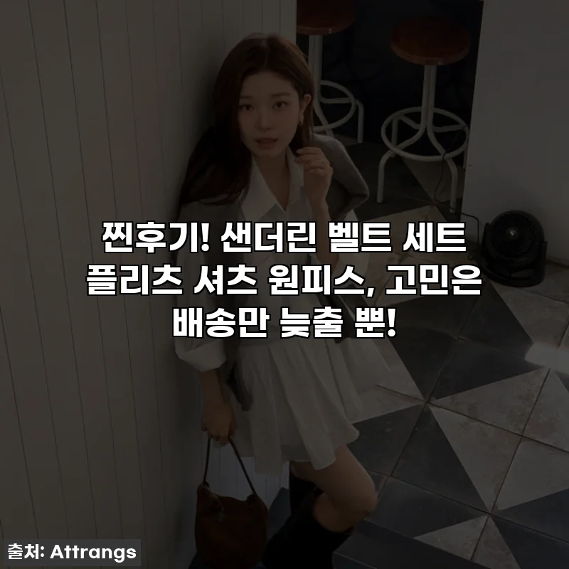 찐후기! 샌더린 벨트 세트 플리츠 셔츠 원피스, 고민은 배송만 늦출 뿐!