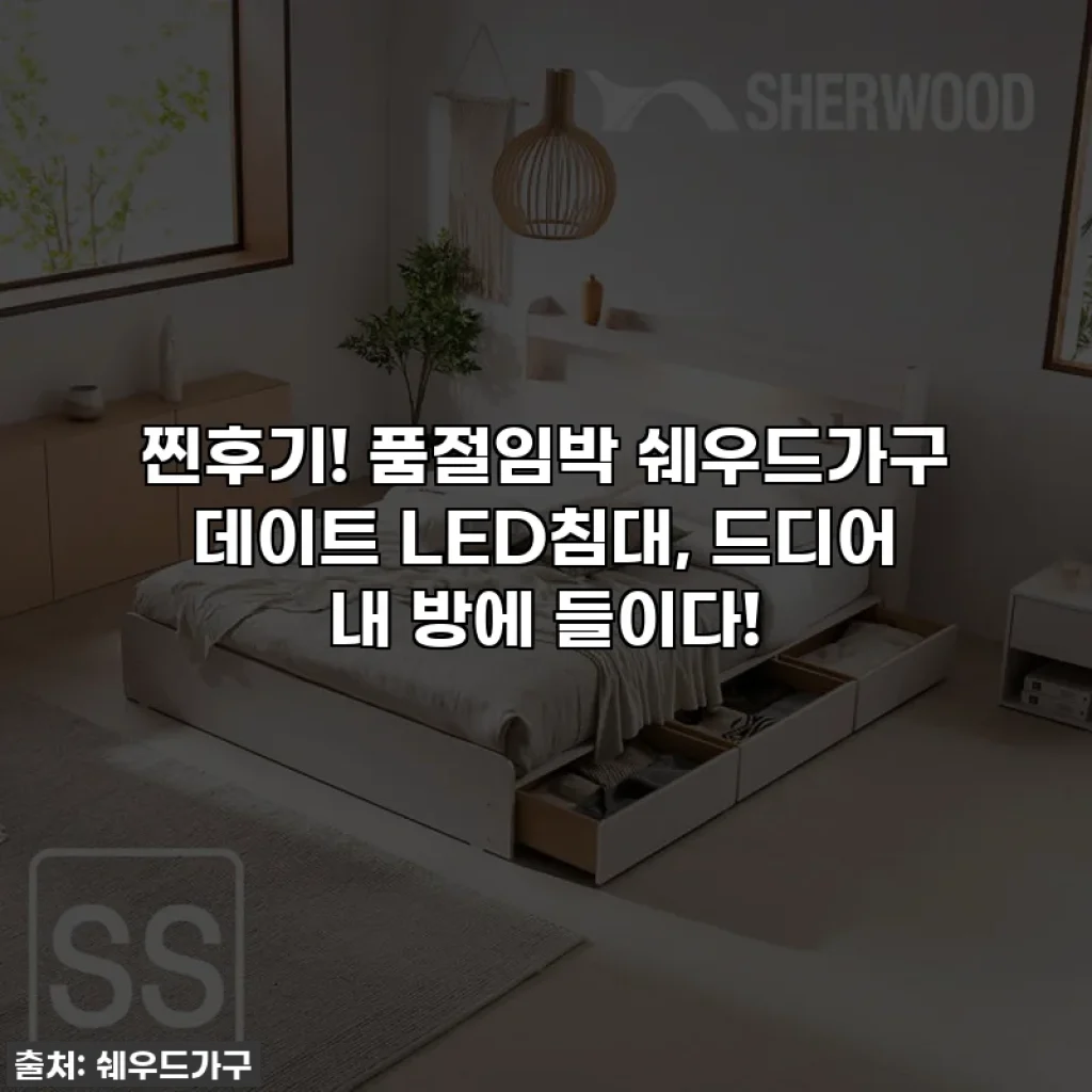 찐후기! 품절임박 쉐우드가구 데이트 LED침대, 드디어 내 방에 들이다!