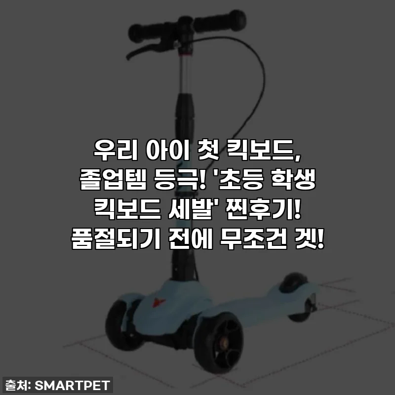 우리 아이 첫 킥보드, 졸업템 등극! '초등 학생 킥보드 세발' 찐후기! 품절되기 전에 무조건 겟!