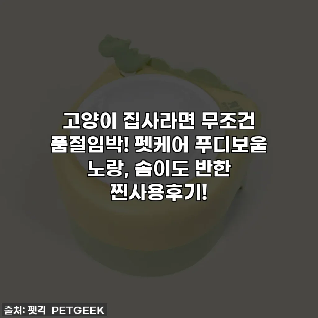 고양이 집사라면 무조건 품절임박! 펫케어 푸디보울 노랑, 솜이도 반한 찐사용후기!