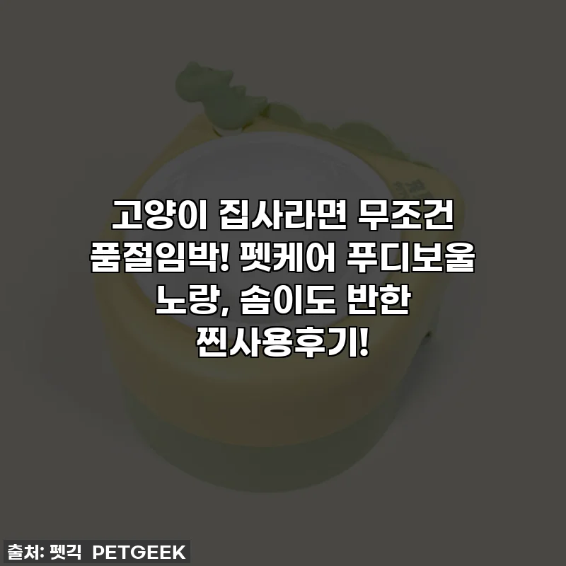 고양이 집사라면 무조건 품절임박! 펫케어 푸디보울 노랑, 솜이도 반한 찐사용후기!