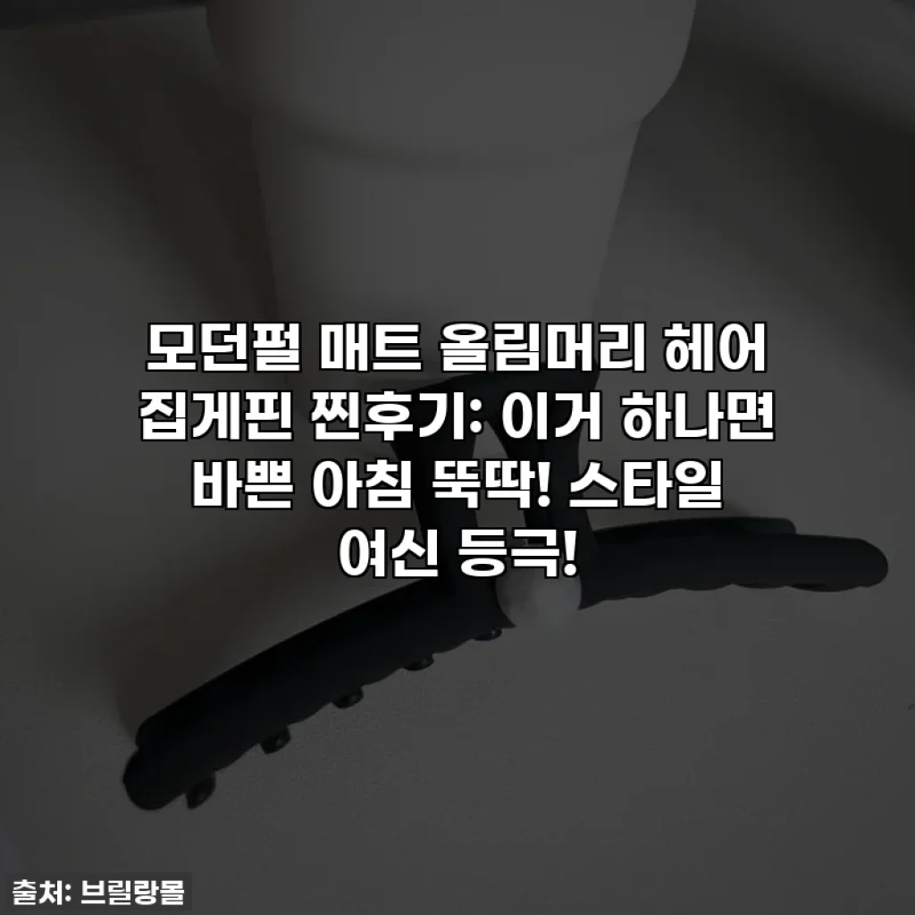 모던펄 매트 올림머리 헤어 집게핀 찐후기: 이거 하나면 바쁜 아침 뚝딱! 스타일 여신 등극!