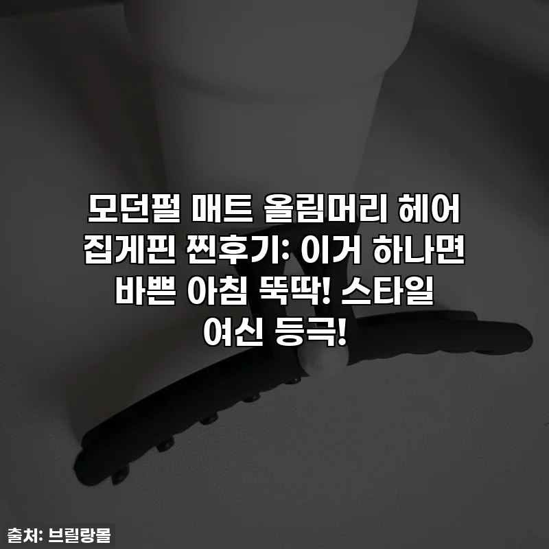모던펄 매트 올림머리 헤어 집게핀 찐후기: 이거 하나면 바쁜 아침 뚝딱! 스타일 여신 등극!