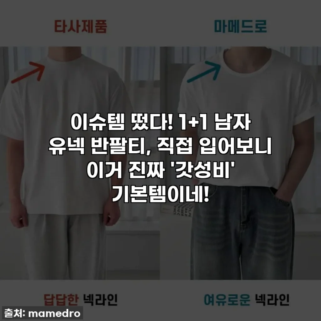 이슈템 떴다! 1+1 남자 유넥 반팔티, 직접 입어보니 이거 진짜 '갓성비' 기본템이네!