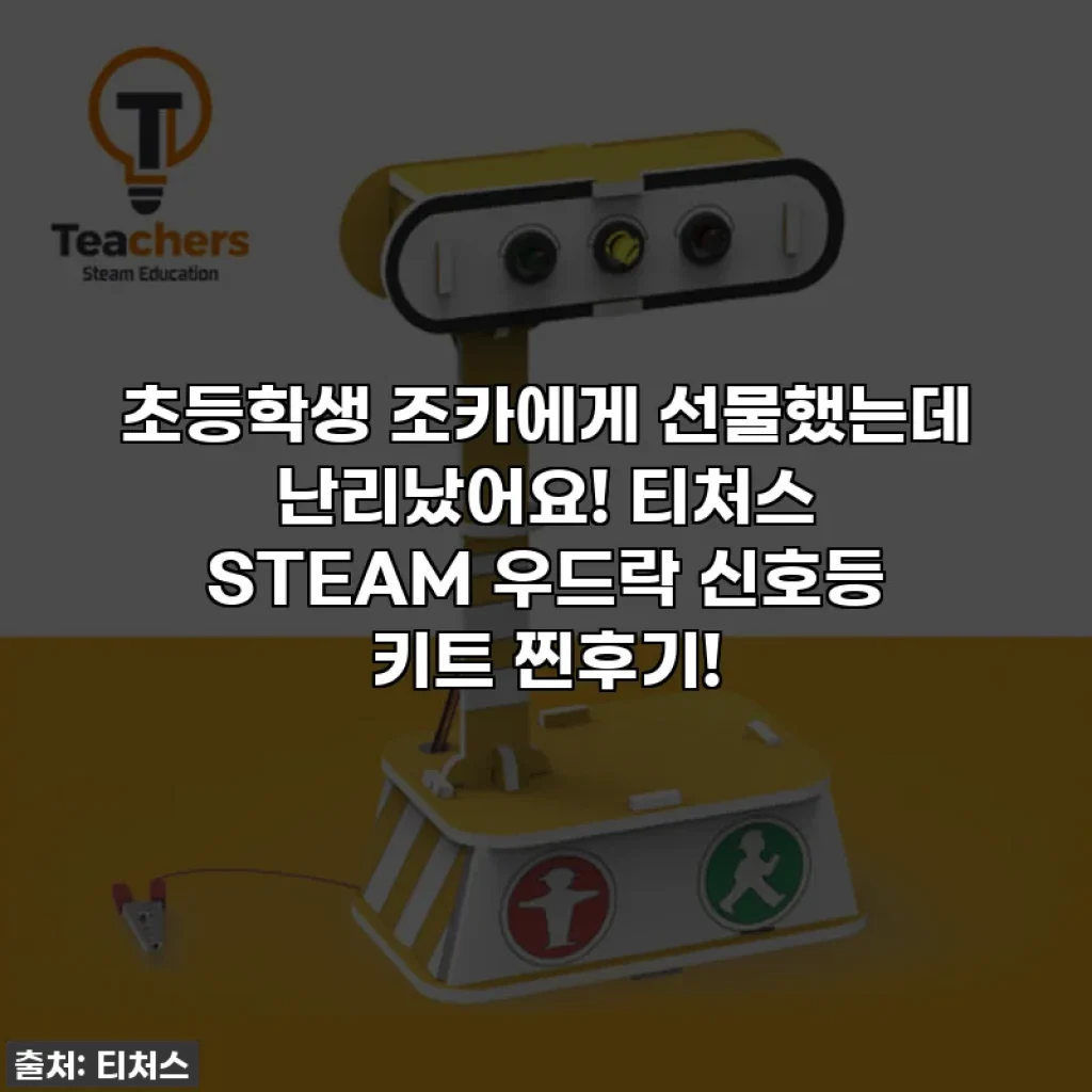 초등학생 조카에게 선물했는데 난리났어요! 티처스 STEAM 우드락 신호등 키트 찐후기!