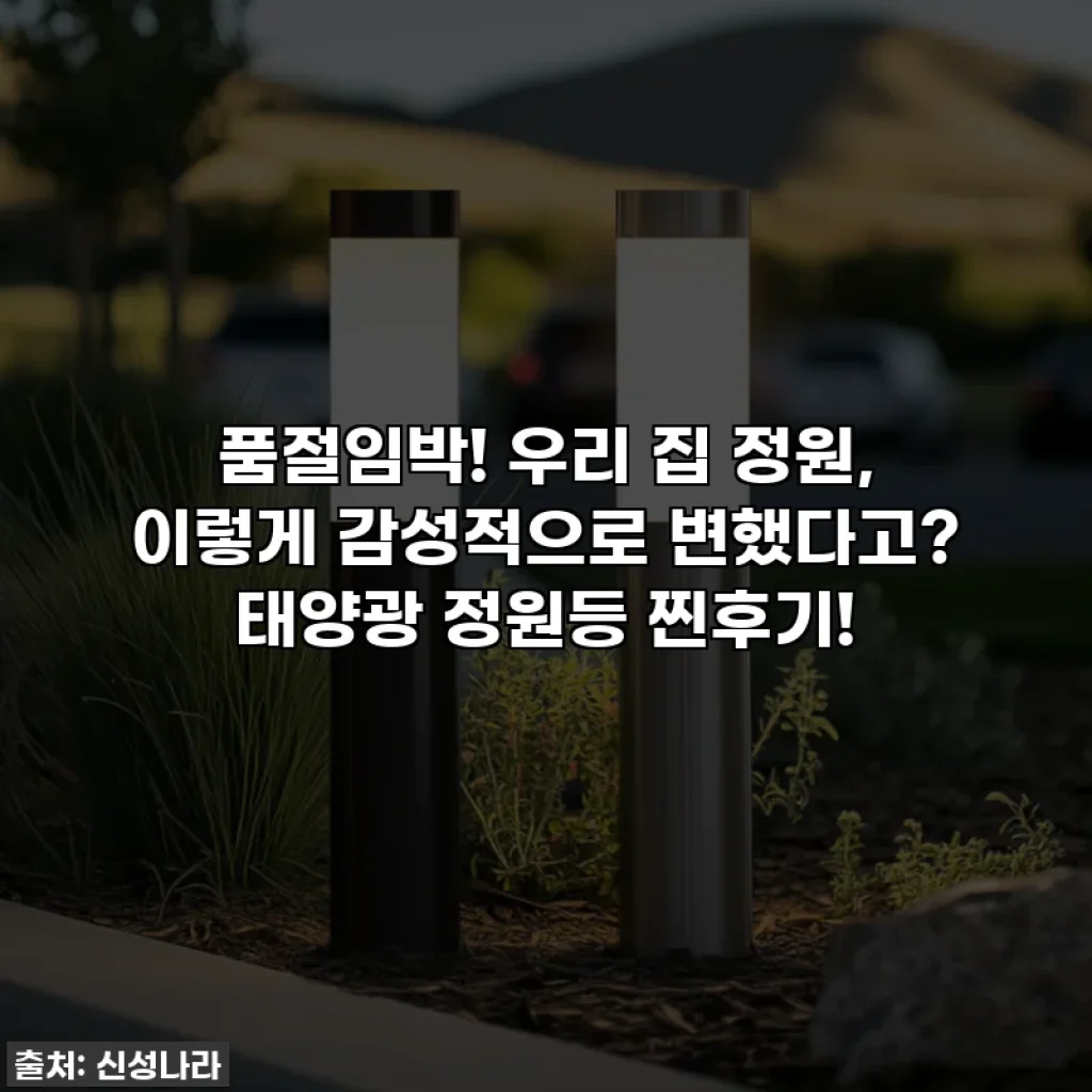 품절임박! 우리 집 정원, 이렇게 감성적으로 변했다고? 태양광 정원등 찐후기!