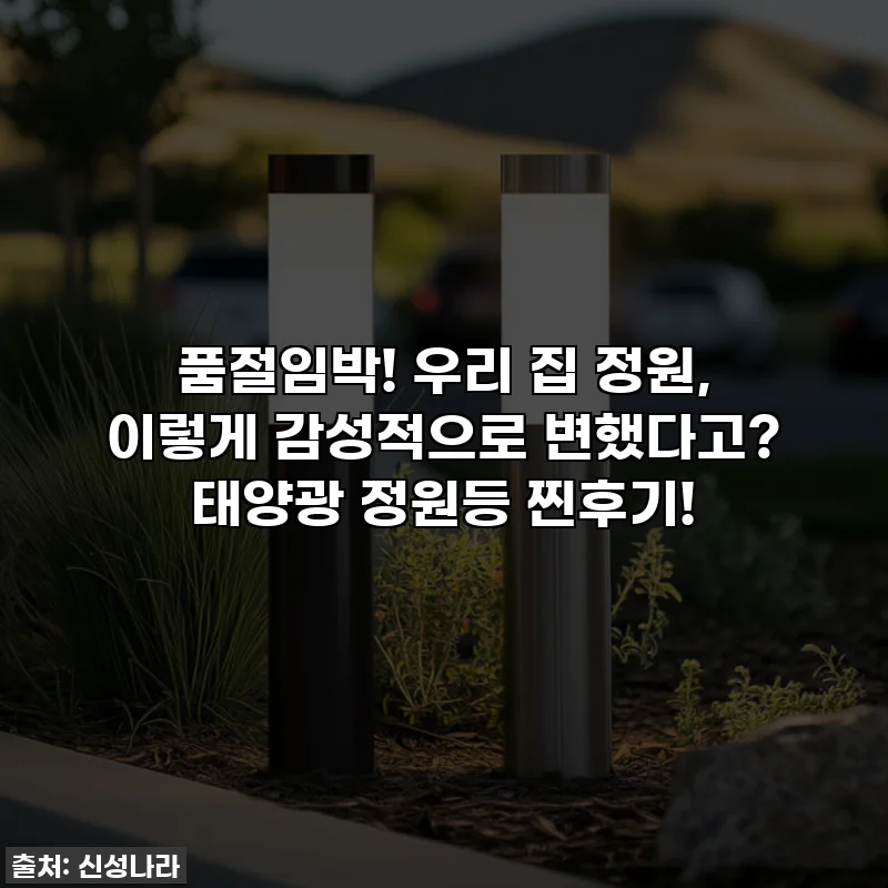 품절임박! 우리 집 정원, 이렇게 감성적으로 변했다고? 태양광 정원등 찐후기!