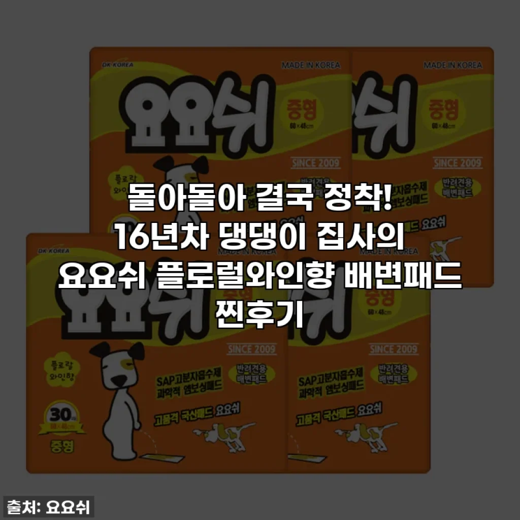 돌아돌아 결국 정착! 16년차 댕댕이 집사의 요요쉬 플로럴와인향 배변패드 찐후기