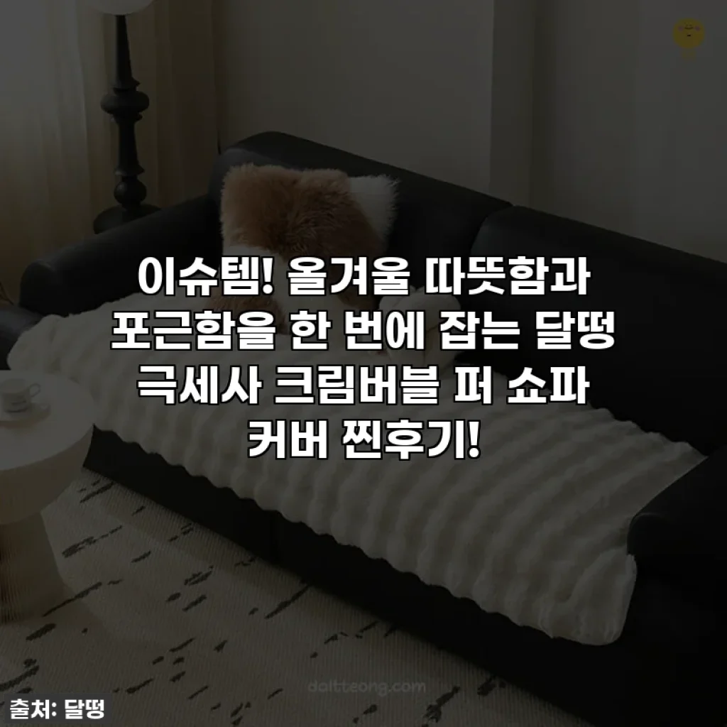 이슈템! 올겨울 따뜻함과 포근함을 한 번에 잡는 달떵 극세사 크림버블 퍼 쇼파 커버 찐후기!