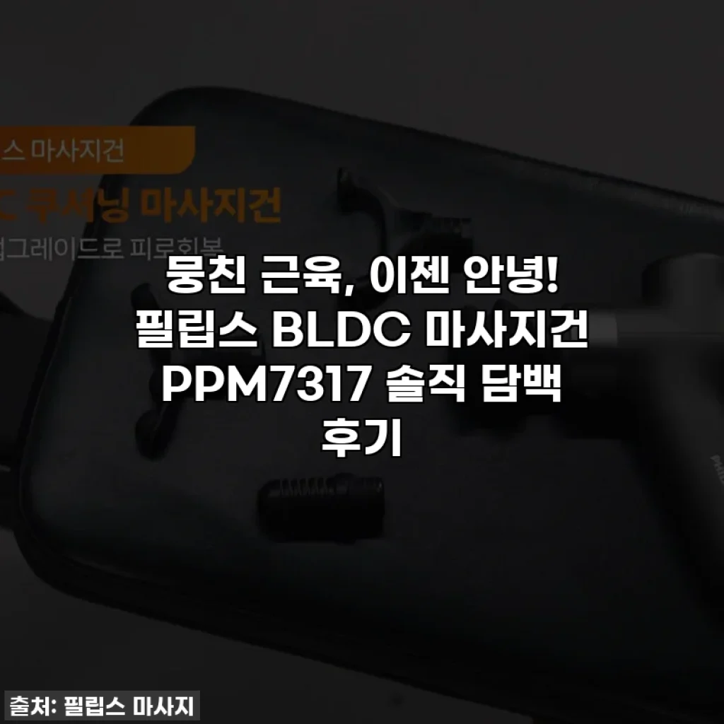 뭉친 근육, 이젠 안녕! 필립스 BLDC 마사지건 PPM7317 솔직 담백 후기